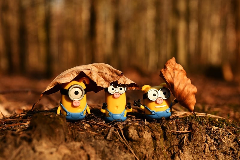 Seasonal Favorites